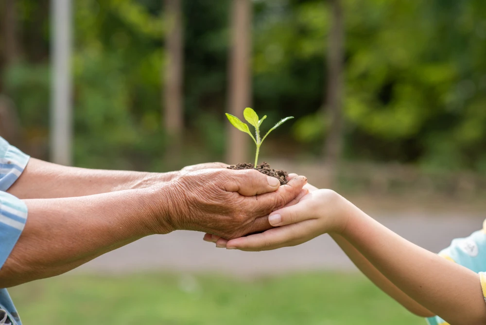 Strengthening Our Roots